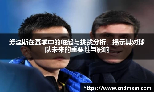 努涅斯在赛季中的崛起与挑战分析，揭示其对球队未来的重要性与影响